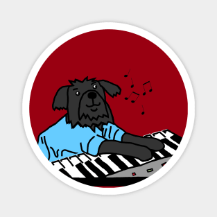 Funny Dog Plays Music on Piano Keyboard Magnet